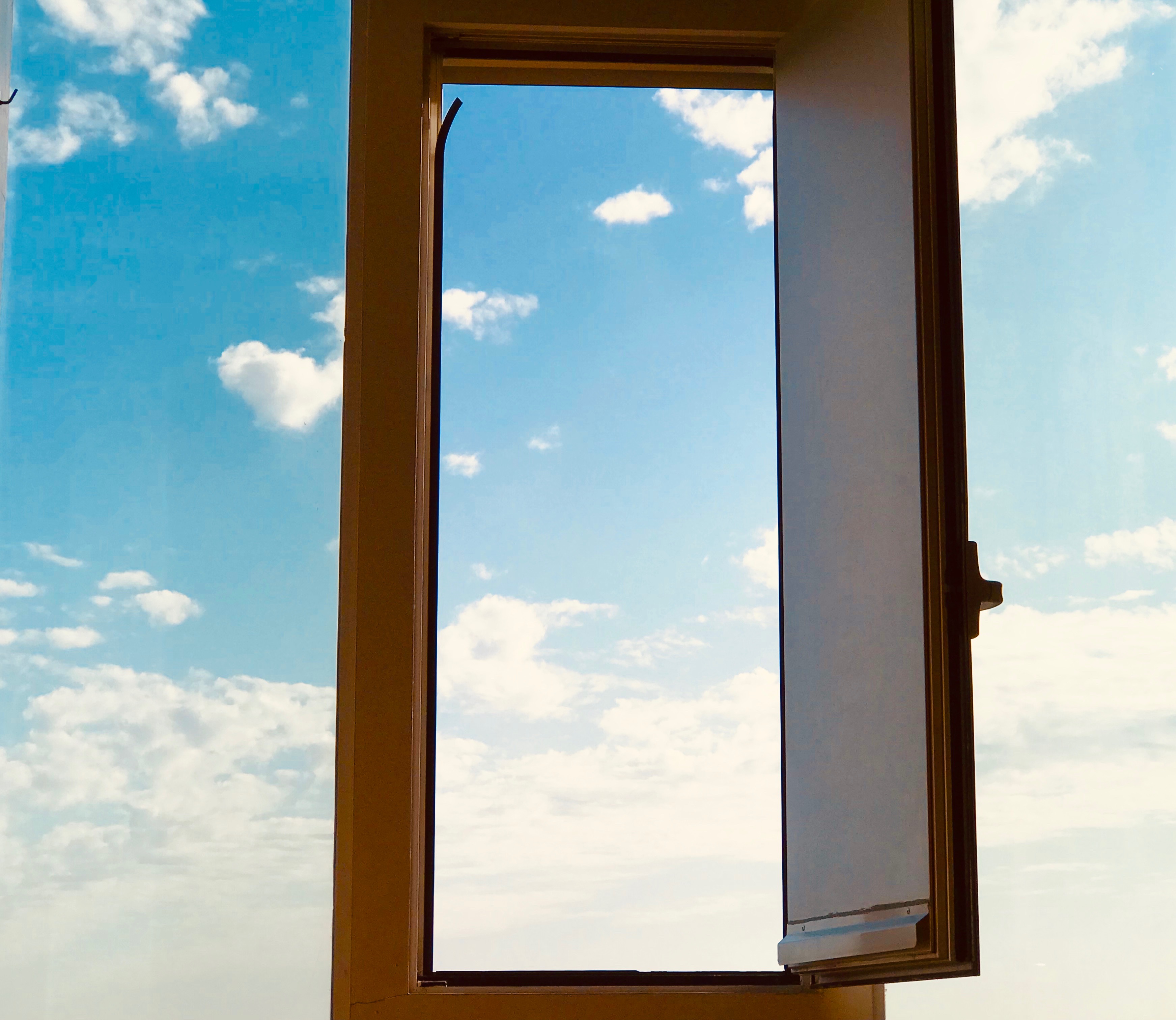 Opening a window we did not know was there – CREALECTICS