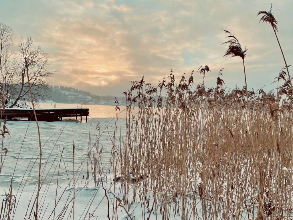 Towards a Universal Science of Actualisation of&nbsp;Potentials